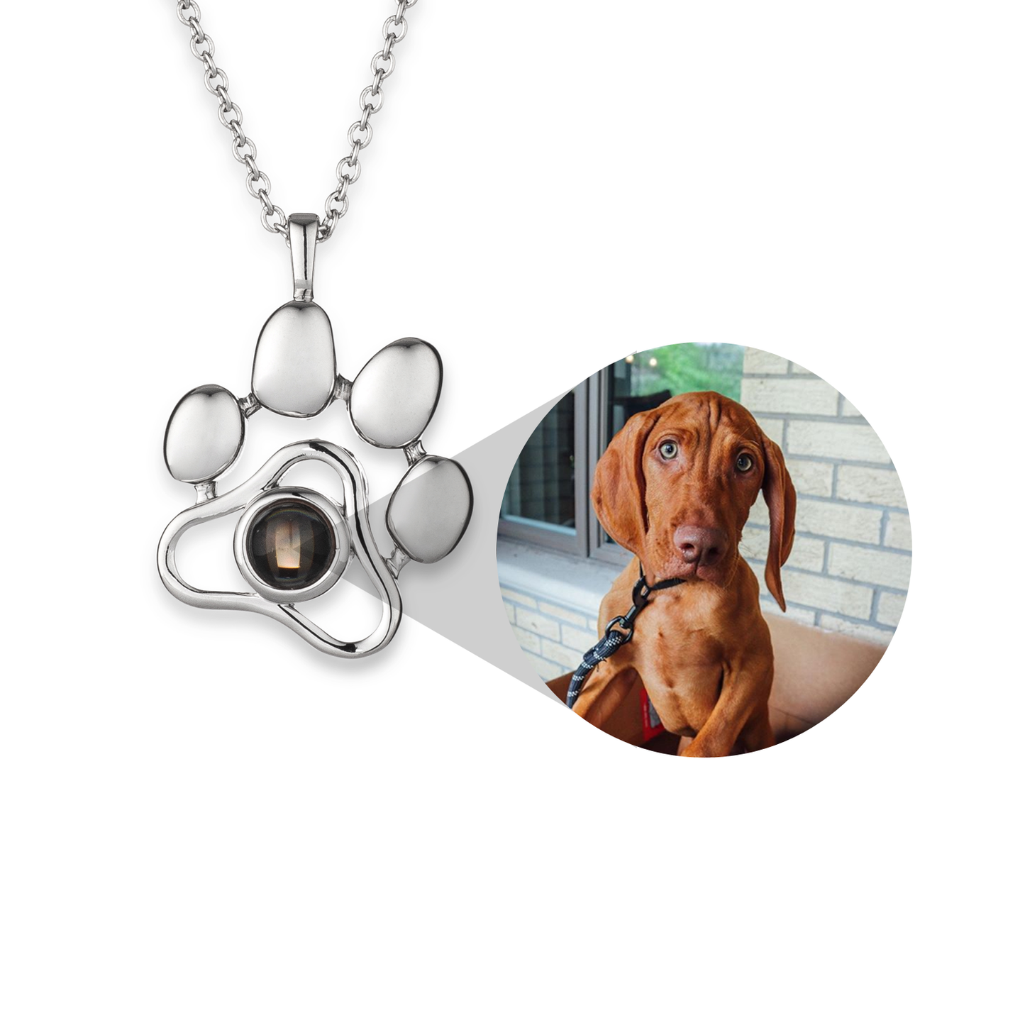 Personalized Pet Photo Necklace Non VIP Offer